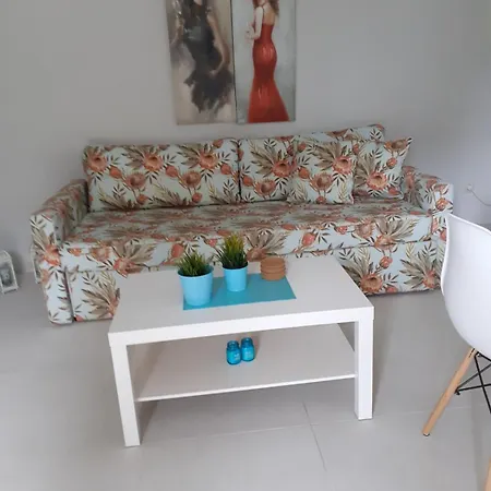 Encanto 2 * ペフコホリ